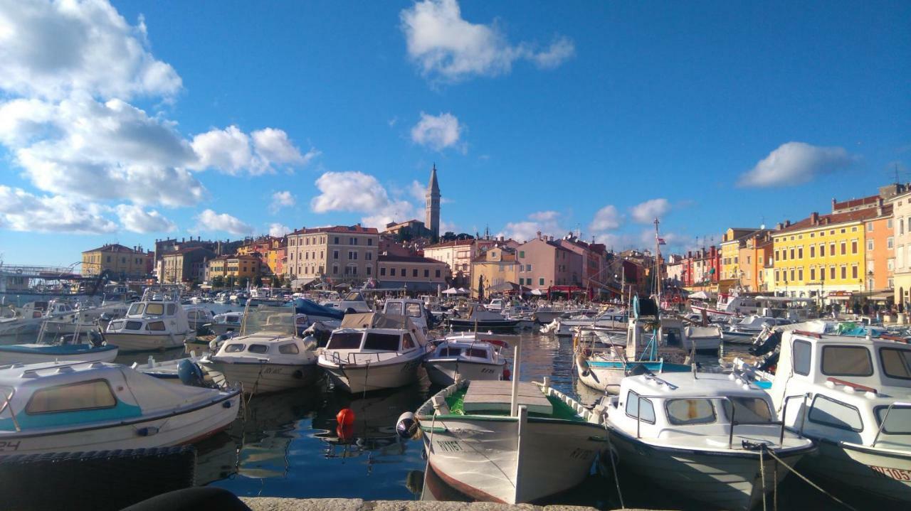 Lily Apartment Rovinj